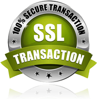 SSL Secured Limo Website